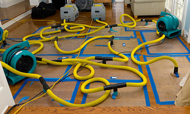 Professional Basement Flood Cleanup technician working in Keyes, CA